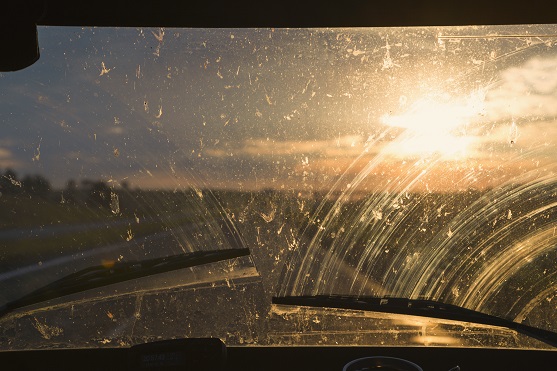 Zašpiněné okno auta od hmyzu